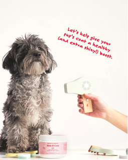 BOCCE'S BAKERY Skin & Coat Supplements