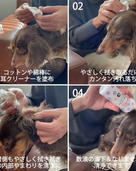 ORP Revival Water Anti-inflammatory Ear Cleaner