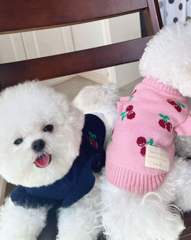 Cherry Sweater