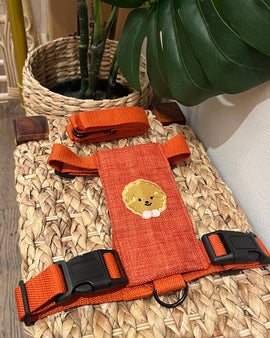 Poodle Embroidery Harness Set