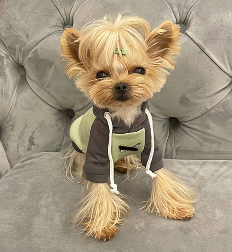 Green & Grey Bi-color Little Explorer Hoodie