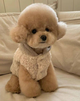 Fluffy Sherpa Fleece Vest