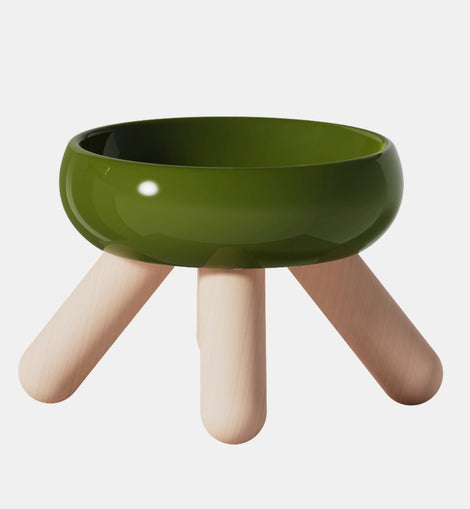 Ceramic Elevated Food Bowl